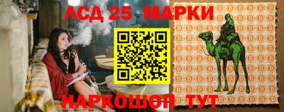 кокс Тара