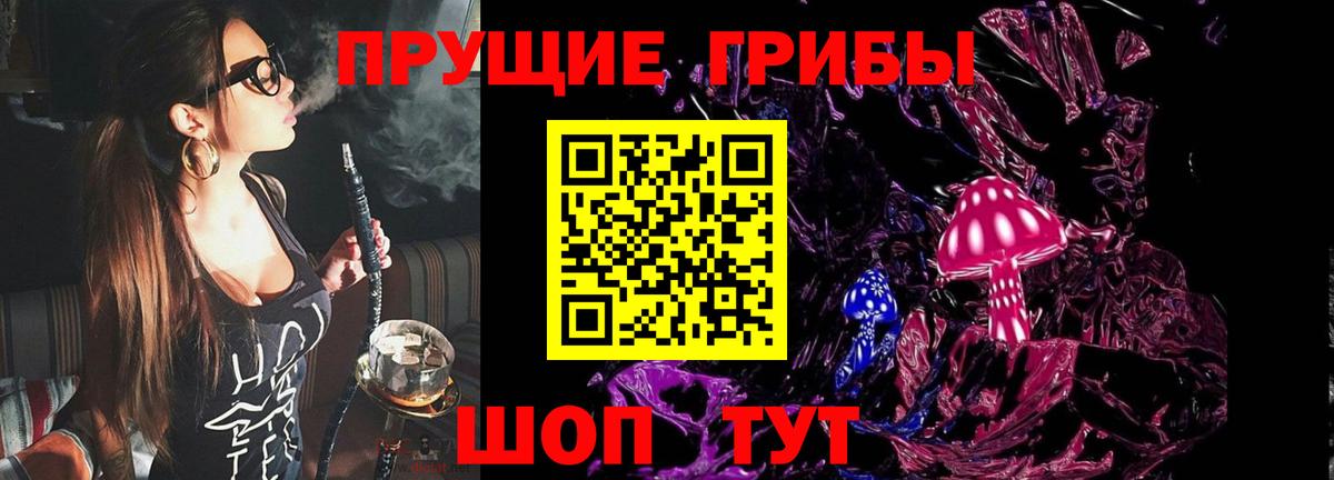 Галлюциногенные грибы прущие грибы Белебей